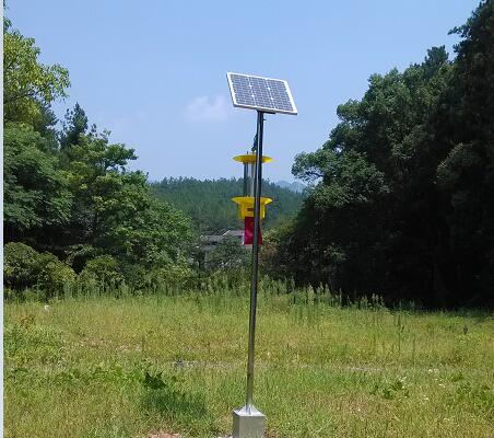 太陽能殺蟲燈在城市綠化中的應用
