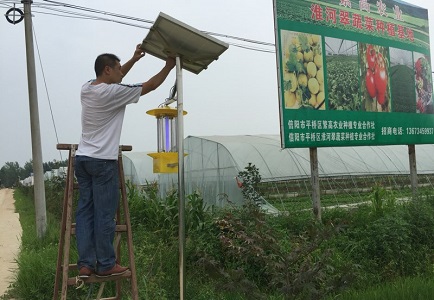 云飛科技太陽(yáng)能殺蟲(chóng)燈有助于發(fā)展綠色蔬菜